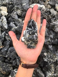 草缸種草注意事項