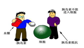 糖尿病,注意事項,預(yù)防