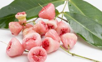 樂沙定化療后注意事項