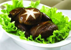 香菇養(yǎng)菌注意事項