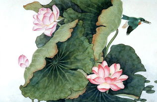 工筆畫,注意事項(xiàng)