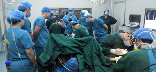 斷指注意事項(xiàng)