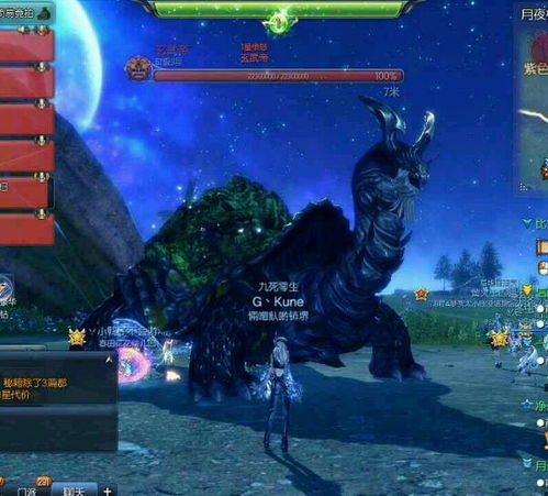 玄武擺放注意事項,帝美妮注意事項,懂車帝直播注意事項