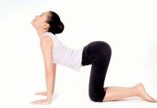 瑜伽,注意事項(xiàng),舞蹈