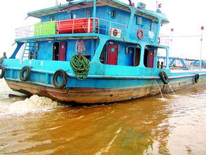 冰箱搬運(yùn)注意事項(xiàng),干冰運(yùn)輸注意事項(xiàng),雞苗運(yùn)輸注意事項(xiàng)