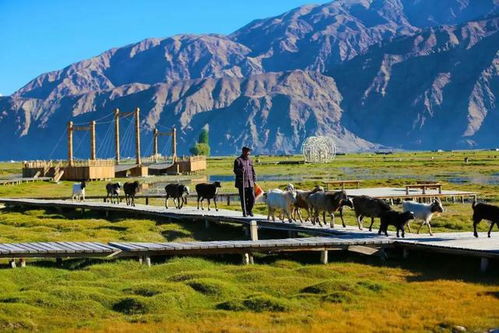 新疆,初到,注意事項(xiàng),旅游