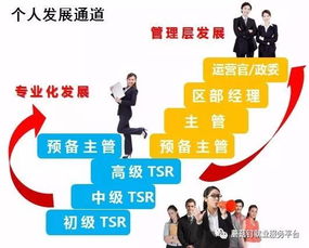 應(yīng)聘招聘顧問需要注意事項(xiàng),應(yīng)聘總經(jīng)理助理的注意事項(xiàng),應(yīng)聘禮儀與注意事項(xiàng)