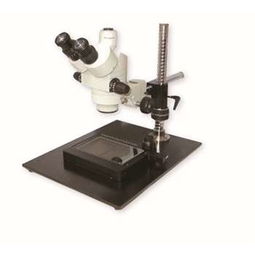 顯微鏡,注意事項(xiàng)