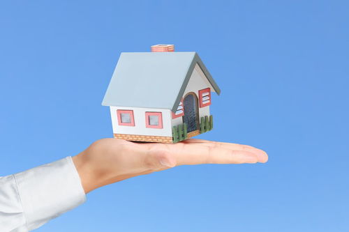 有什么,定金,售樓處,注意事項(xiàng)