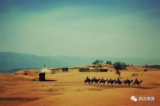 西北旅游注意事項(xiàng),四肢攝影的注意事項(xiàng),延時(shí)攝影注意事項(xiàng)