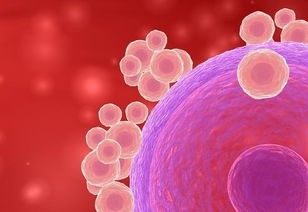 查卵泡要注意事項(xiàng)