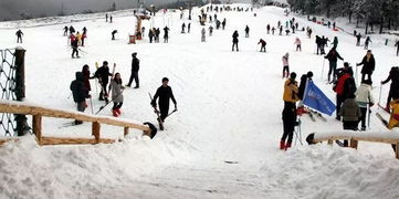 商量,注意事項(xiàng),滑雪