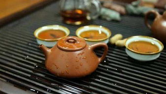 木鏟第一次使用注意事項(xiàng),鋼筆第一次使用注意事項(xiàng),新冰箱第一次使用注意事項(xiàng)