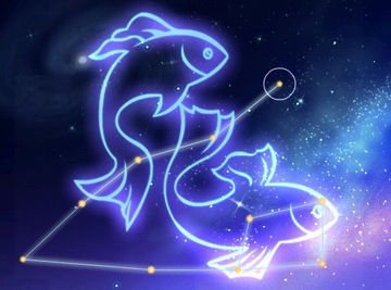 雙魚配雙魚注意事項(xiàng)