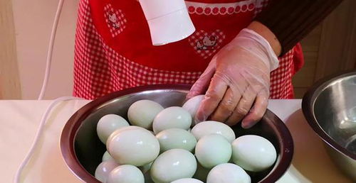 鴨蛋,滿月,注意事項