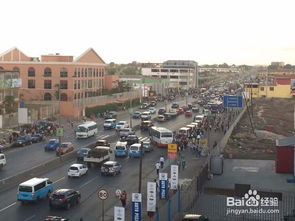 去上海工作注意事項(xiàng),從安哥拉回國(guó)注意事項(xiàng),安哥拉垂耳兔注意事項(xiàng)