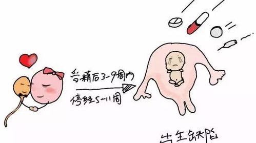 藥流坐月子注意事項(xiàng)