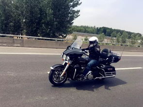 哈雷,注意事項(xiàng)