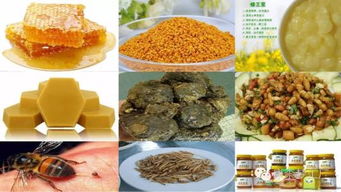 吃蜂膠飲食方面注意事項(xiàng)