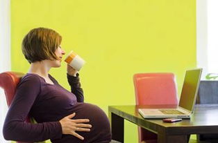 懷孕初期注意事項,貓咪懷孕注意事項,懷孕初期注意事項和飲食禁忌