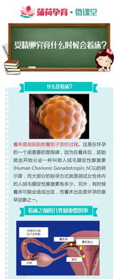 著床當天注意事項