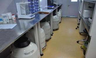 解凍移植后注意事項(xiàng)