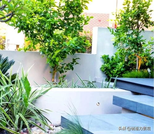 花園魚池養(yǎng)魚注意事項,養(yǎng)魚的注意事項,塑料桶養(yǎng)魚注意事項