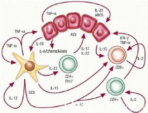 注射生長源應(yīng)該注意事項