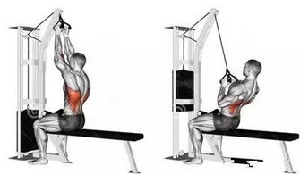 坐姿,器械,注意事項