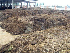 有機肥有機質含量測定注意事項