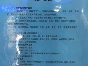 出海關(guān)注意事項