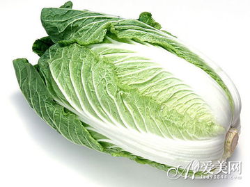 大白菜注意事項