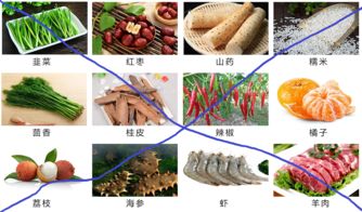 濕熱,體質(zhì),注意事項(xiàng),飲食