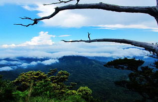 爬五指山注意事項(xiàng)