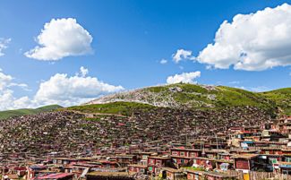 色達(dá),注意事項(xiàng)