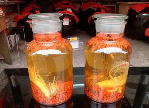 藥材,注意事項(xiàng),泡酒