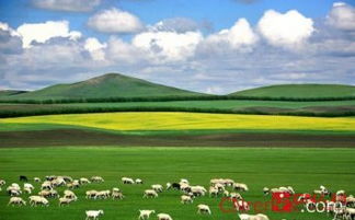 內(nèi)蒙古攻略注意事項