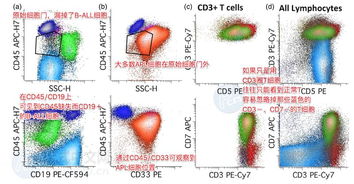 尿流式注意事項(xiàng)