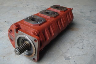 齒輪泵啟動(dòng)注意事項(xiàng),齒輪泵安裝注意事項(xiàng),齒輪泵維修注意事項(xiàng)