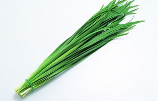 孕婦吃韭菜的注意事項(xiàng)