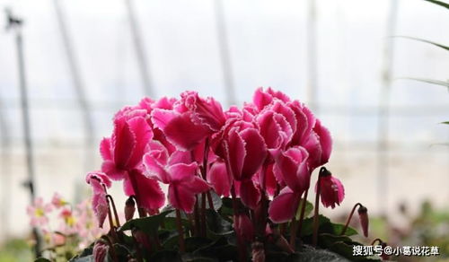 技術(shù)標(biāo)暗標(biāo)注意事項,電子標(biāo)書的注意事項,封標(biāo)注意事項