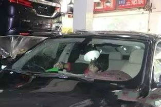 注意事項(xiàng),玻璃,汽車(chē),換全檔