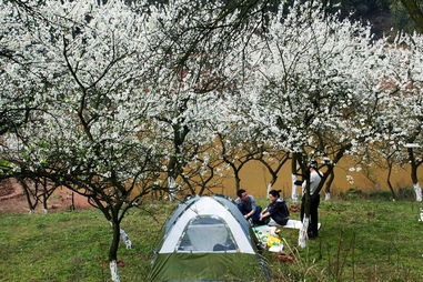 郊游的注意事項,郊游安全注意事項,兒童外出郊游注意事項