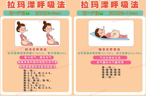 懷孕每個(gè)階段注意事項(xiàng),懷孕各階段注意事項(xiàng),懷孕不同階段注意事項(xiàng)