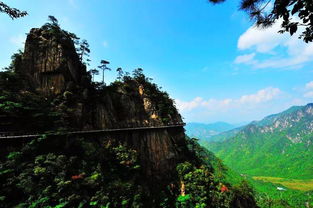 幼兒爬山安全注意事項,爬山活動安全注意事項,爬山安全常識及注意事項