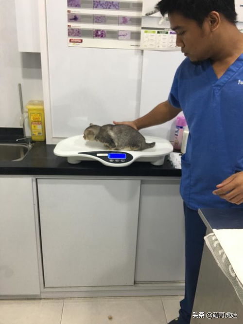 去機(jī)場(chǎng)接領(lǐng)導(dǎo)注意事項(xiàng),去機(jī)場(chǎng)接老板的注意事項(xiàng),去機(jī)場(chǎng)接人注意事項(xiàng)