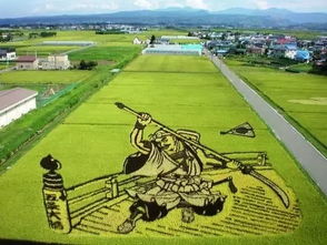 安全衛(wèi)生,注意事項(xiàng),基地,農(nóng)業(yè)