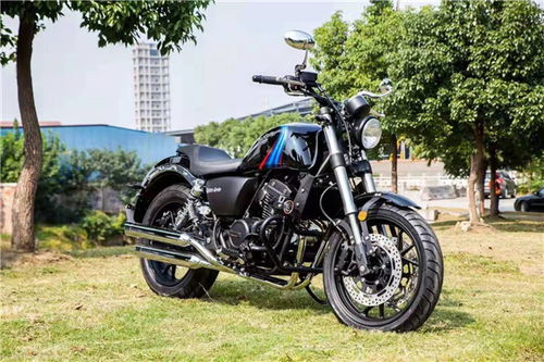 哈雷肥仔騎行注意事項(xiàng),騎行注意事項(xiàng)及技巧,騎行安全注意事項(xiàng)