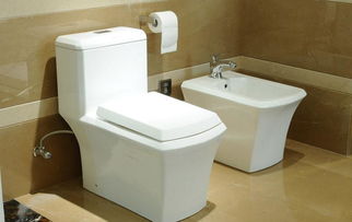 買潔具的注意事項(xiàng)