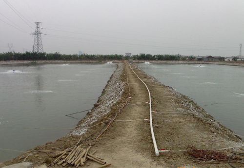 魚(yú)塘增氧注意事項(xiàng)